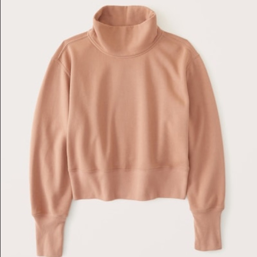 NWT Cropped Turtleneck Sweatshirt